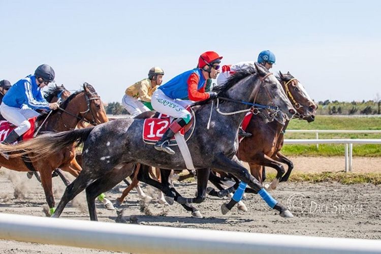 Mövsüm son cıdır yarışı ilə başa çatır