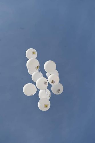 Naxçıvanda idman bayramı  - FOTOSESSİYA