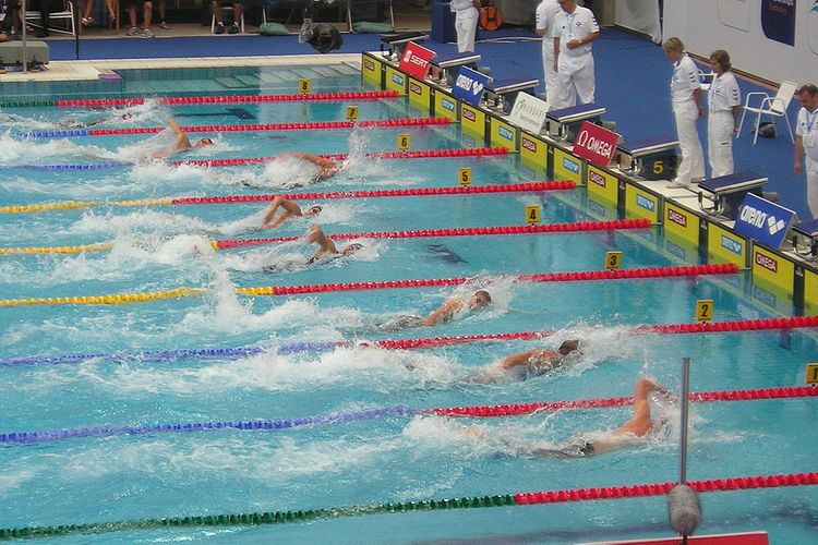 Azərbaycan idmançılarının qatılacağı dünya çempionatı təxirə salındı