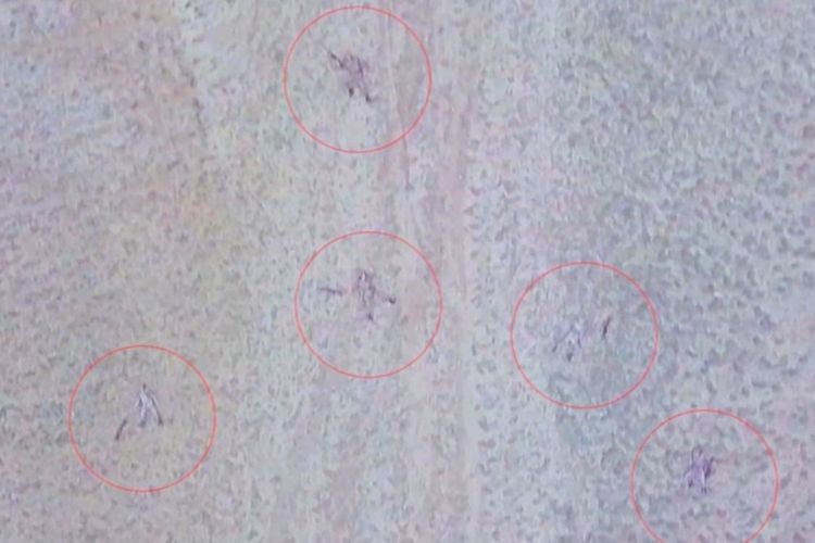 Talış kəndi ətrafındakı əlverişli yüksəkliklər düşməndən təmizləndi