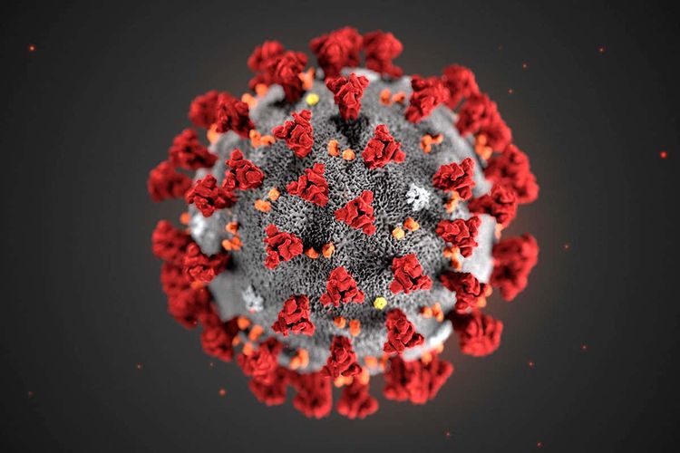 Daha bir avrokubok matçı təhlükədə - koronavirus problemi