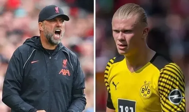 Klopp Halandı almaq şanslarını dəyərləndirdi
