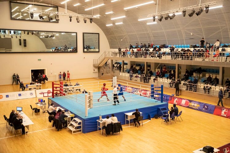 2 çəki dərəcəsində yarımfinalçılar bəlli oldu - FOTOSESSİYA