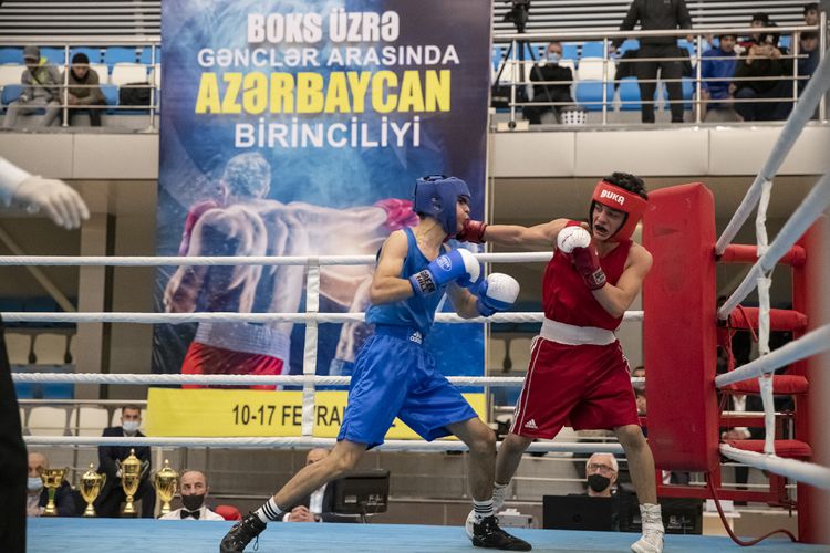 Azərbaycanın ən güclü boksçuları bəlli oldu - FOTOSESSİYA