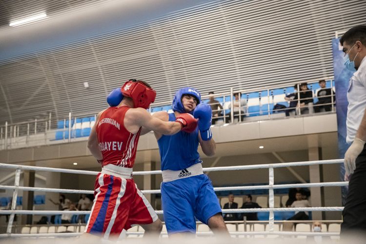 Azərbaycanın ən güclü boksçuları bəlli oldu - FOTOSESSİYA