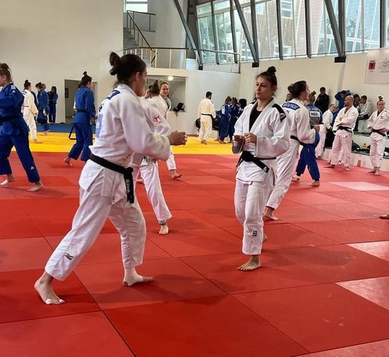 Millimiz Fransa, ABŞ və Xorvatiya ilə hazırlıqda - FOTOSESSİYA