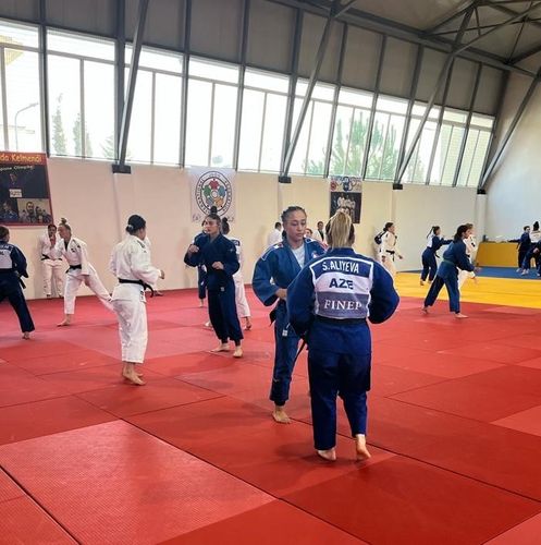 Millimiz Fransa, ABŞ və Xorvatiya ilə hazırlıqda - FOTOSESSİYA