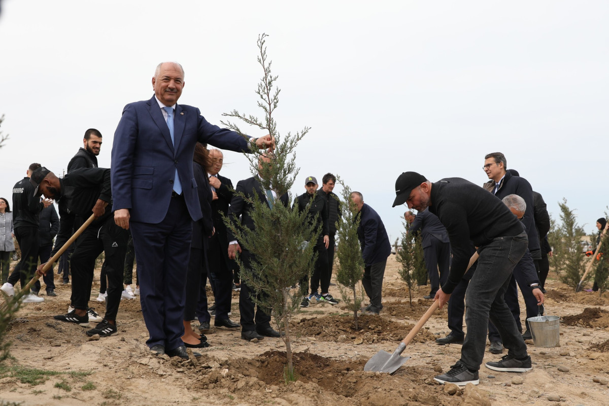 “Qarabağ”dan ağacəkmə aksiyası - FOTOSESSİYA 