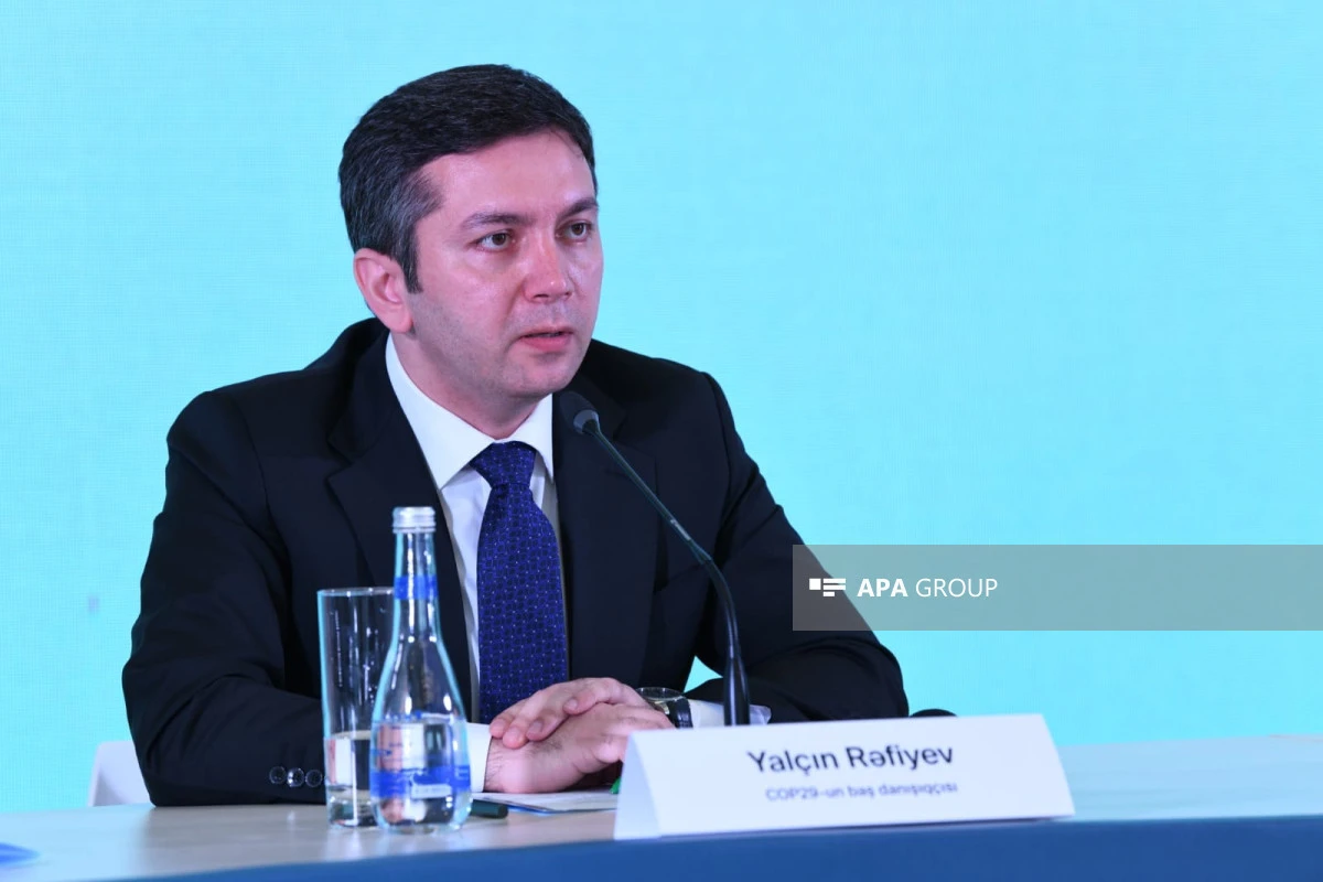 Yalçın Rəfiyev: “Azərbaycan D-8-də sürətli irəliləyiş əldə edib”