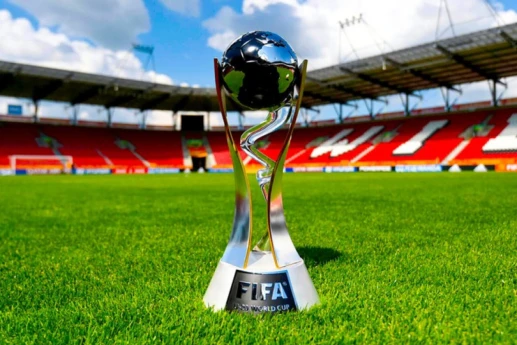 Azərbaycanda keçiriləcək dünya çempionatı ilə əlaqədar Təşkilat Komitəsi yaradılıb