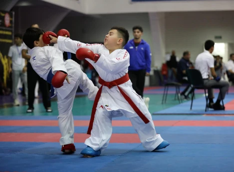 Ənənəvi karate üslubu şito-ryu üzrə genişmiqyaslı turnir keçirilib