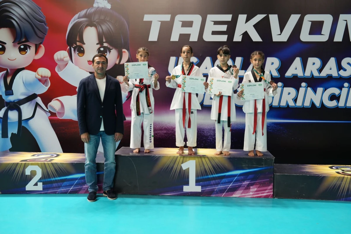 Taekvondo üzrə ölkə birinciliyinin qalibləri bəlli olub - FOTO 