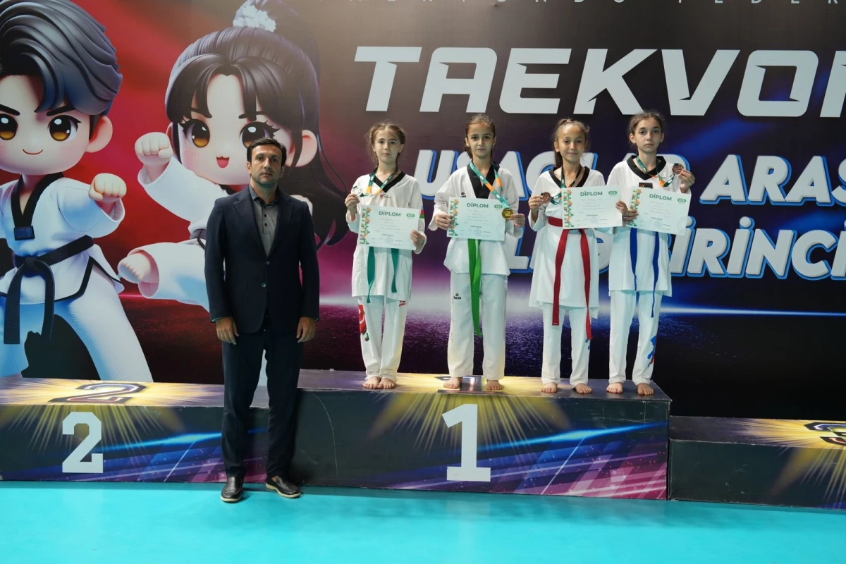 Taekvondo üzrə ölkə birinciliyinin qalibləri bəlli olub - FOTO 