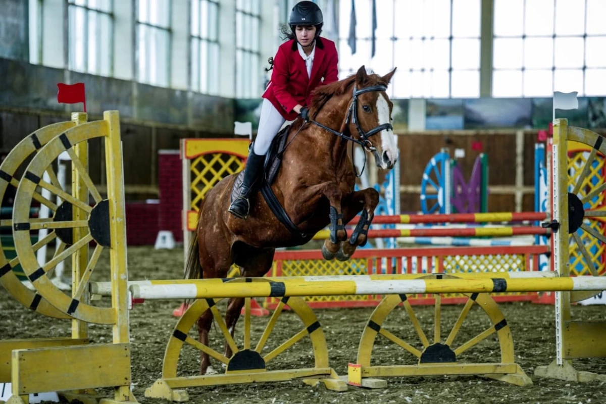 Bakıda “Bahar Kuboku” turniri keçiriləcək