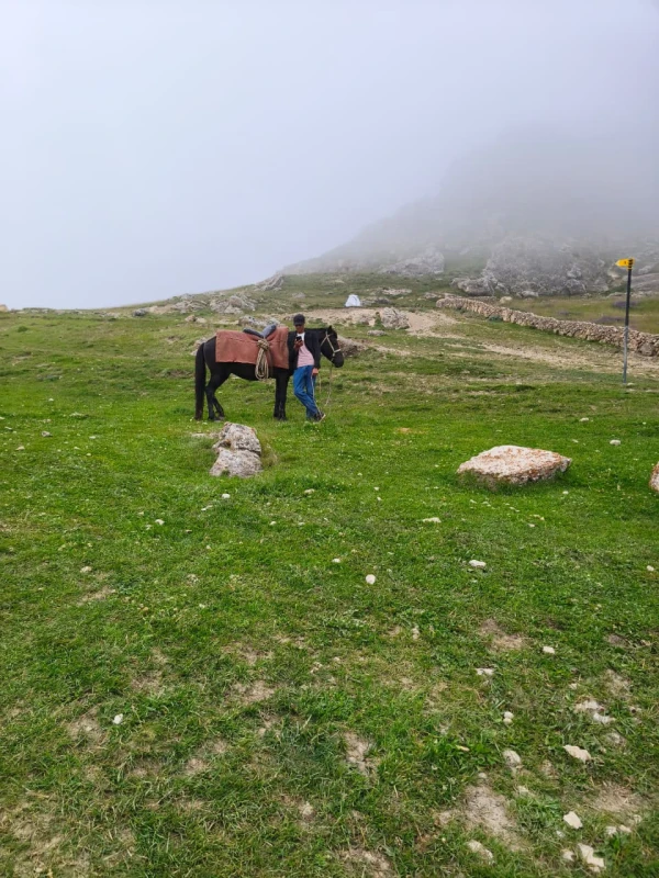 Qubada "Dağçılıq və Təbiət Turniri - Qrız 2026" təşkil edilib - FOTO 